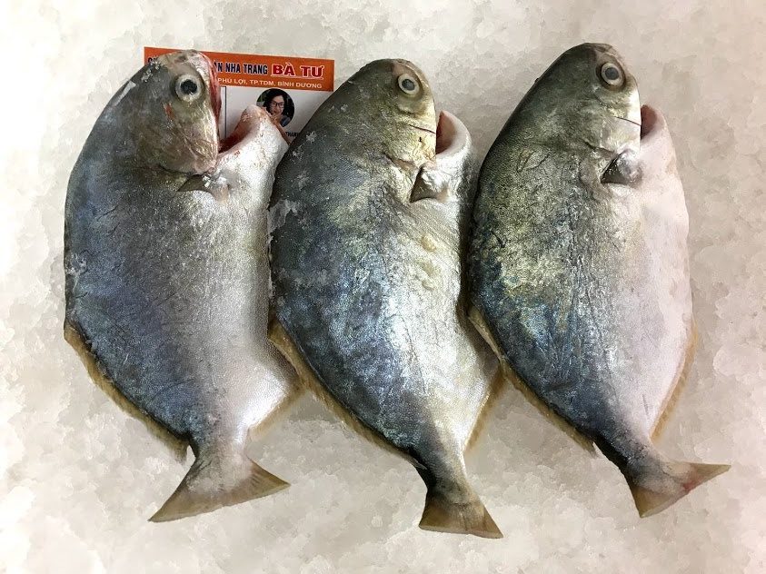 IMG 0692 e1566017277734