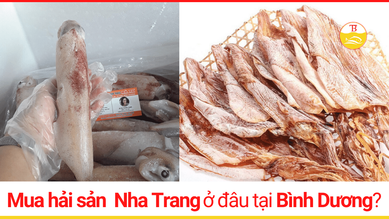 mua-hai-san-nha-trang