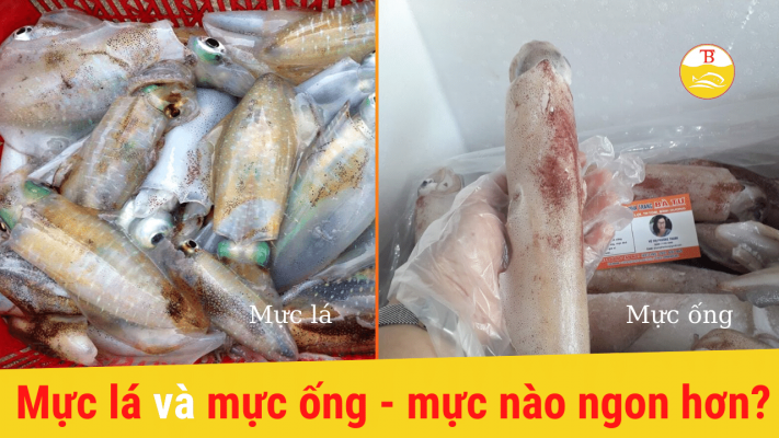 muc-la-va-muc-ong-muc-nao-ngon-hon